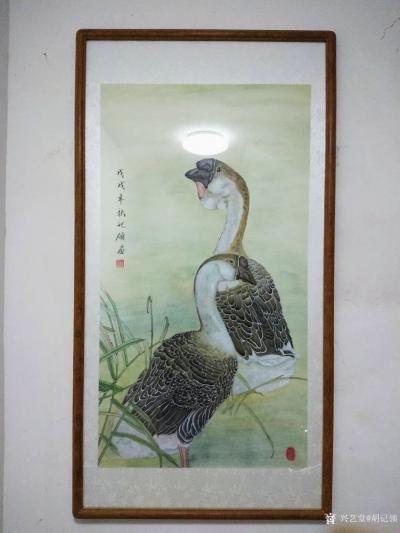 胡记领日记-感谢全国各地朋友得支持与反馈。【图12】