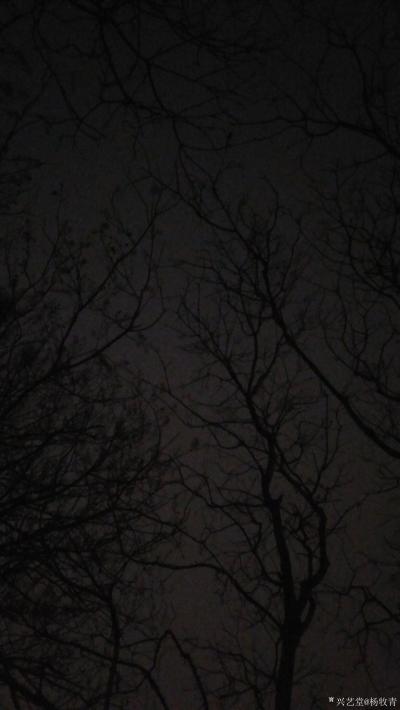 杨牧青日记-夜色行吟
杨牧青 
2019.3.2

身居大城迷霾中，夜观天球未显相，【图1】