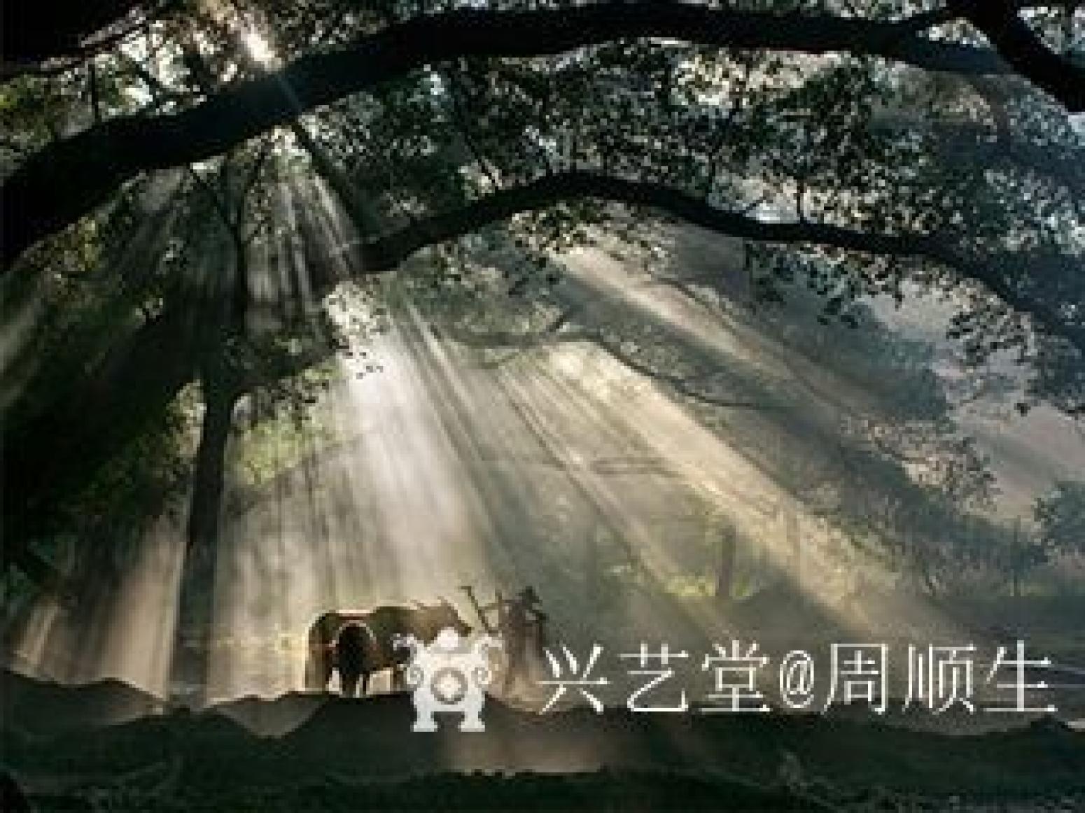 周顺生国画作品《四尺斗方古榕迎春》【图1】