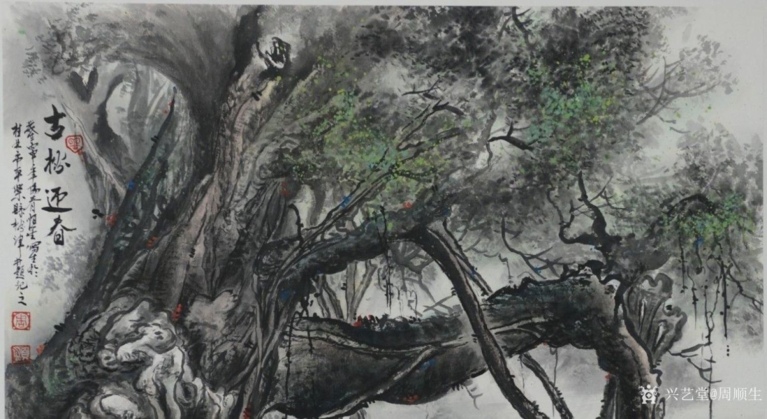 周顺生国画作品《四尺斗方古榕迎春》【图2】