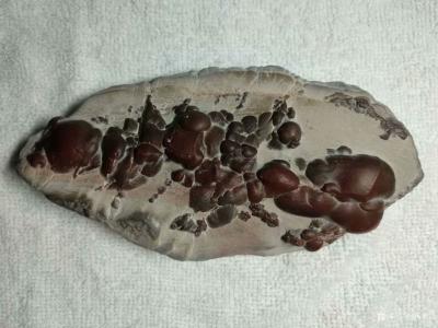 杨增超收藏-彩色珍珠石《紫气东来》，感谢我弟惠让！！甚是喜欢……收藏并分享图片给奇石爱好者欣【图3】