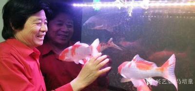 马培童日记-《有颗童心，一生都会精彩》马培童焦墨画感悟笔记（87）
  每天清晨雾气迷蒙的【图1】