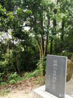 艺术家陈培泼日记:陪母亲游麒麟山有感：
满目青山翠欲滴，
遍地浓蔭匝地肥。【图1】