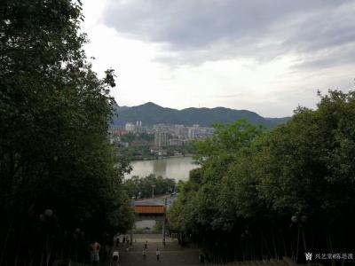 陈培泼日记-陪母亲游麒麟山有感：
满目青山翠欲滴，
遍地浓蔭匝地肥。
琼楼高耸欺云低，【图3】