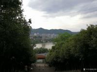 艺术家陈培泼日记:陪母亲游麒麟山有感：
满目青山翠欲滴，
遍地浓蔭匝地肥。【图2】