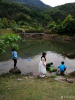 艺术家陈培泼日记:陪母亲游麒麟山有感：
满目青山翠欲滴，
遍地浓蔭匝地肥。【图3】