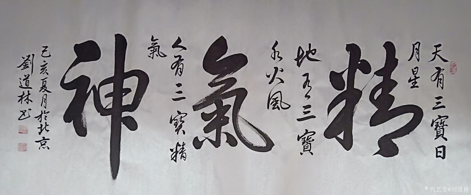 刘道林书法作品《精气神》