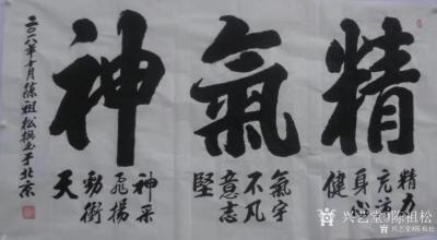 陈祖松日记-精力充沛身心健；气宇不凡意志坚；神采飞扬劲冲天。【图1】