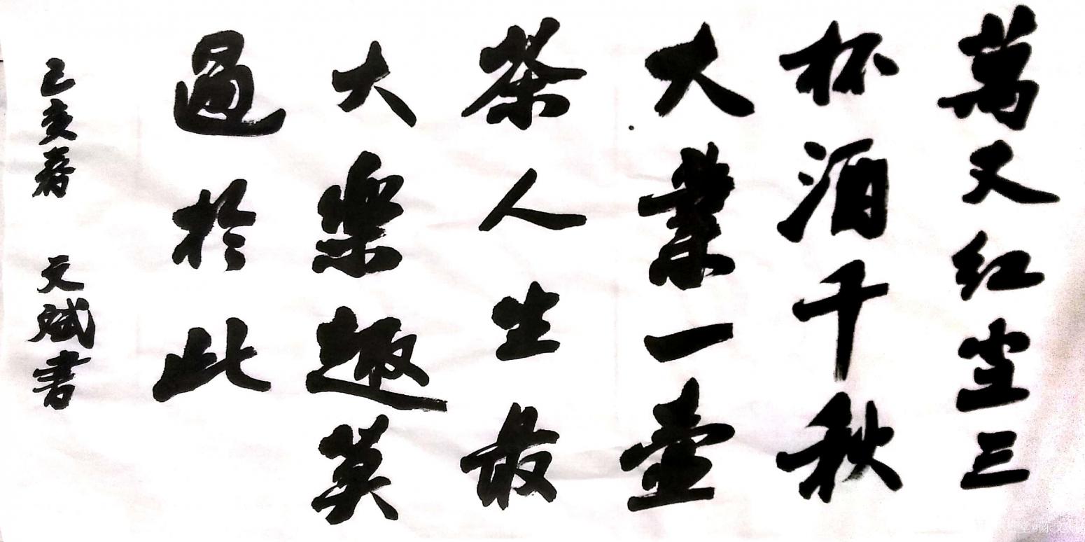 陈文斌书法作品《人生禅语》【图0】