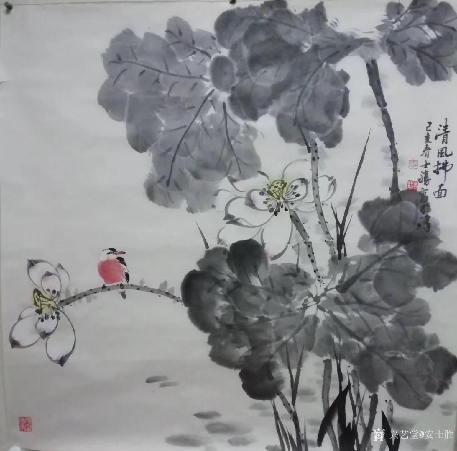 安士胜国画作品《荷花-清风拂面》【图0】