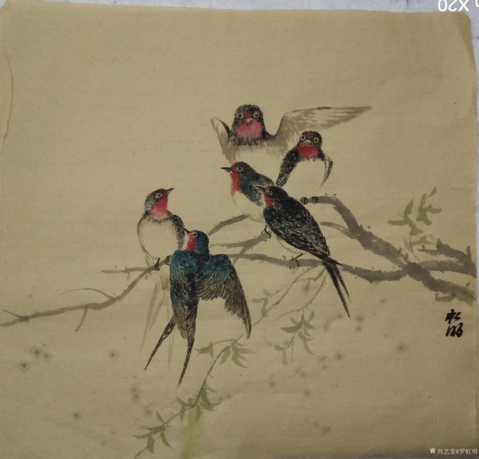 罗虹明国画作品《燕子小品》【图0】