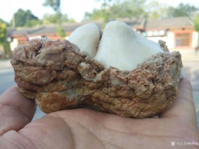杨增超收藏-奇石:黄壳白灵玉原石，一级灵，如图。收藏品分享，欢迎交流。【图3】