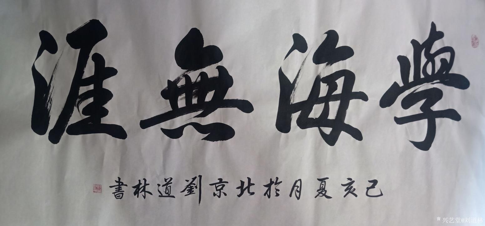 刘道林书法作品《学海无涯》【图0】