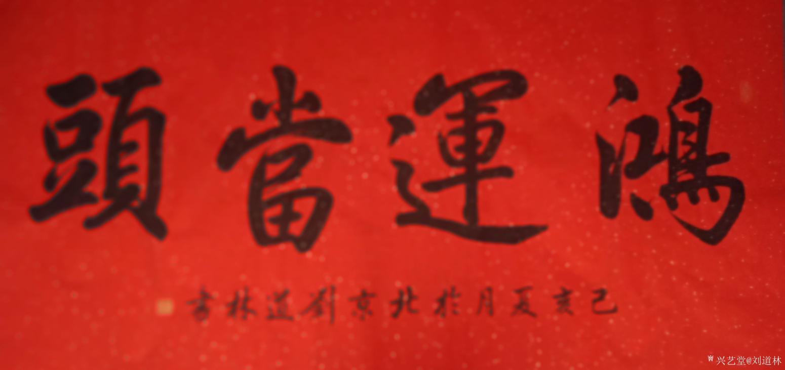 刘道林书法作品《鸿运当头》