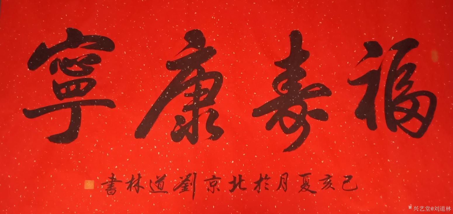 刘道林书法作品《福寿康宁》