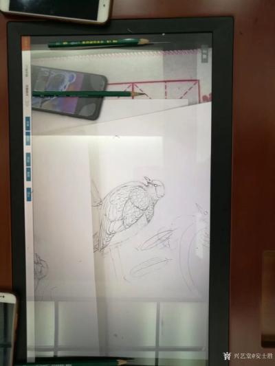 安士胜日记-现代化的美术教育方式：通过多媒体教学仪器，让美术老师能全心地画，学生们都能清晰地【图6】