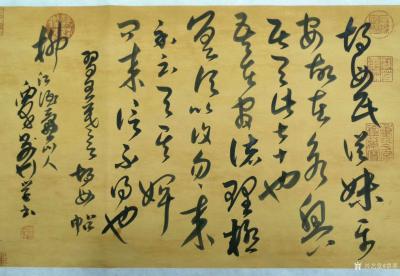 覃莽日记-草书《习王羲之<胡母帖>》欣赏
（  释文：胡母氏從妹平安，故在永興居，去此七【图1】