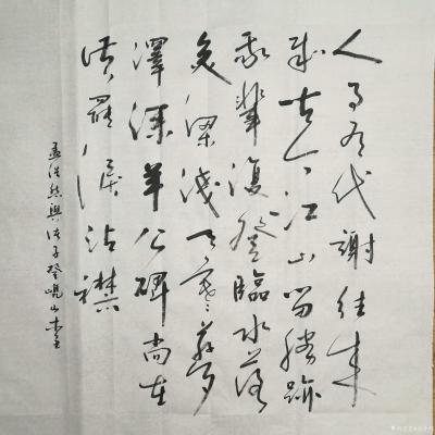 史介鸿日记-史介鸿行草，孟浩然《与诸子登岘山》一首。
四尺斗方。
此作品初读意境有些悲凉【图1】