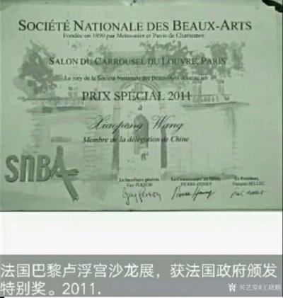 王晓鹏荣誉-国画人物画（水墨画）作品《德峨收玉米女孩》参加法国巴黎2011卢浮宫沙龙展，获特【图5】