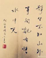 艺术家史介鸿日记:静坐不知山外事，闲观有悟水中天
第一次学何绍基。他的行书，【图0】