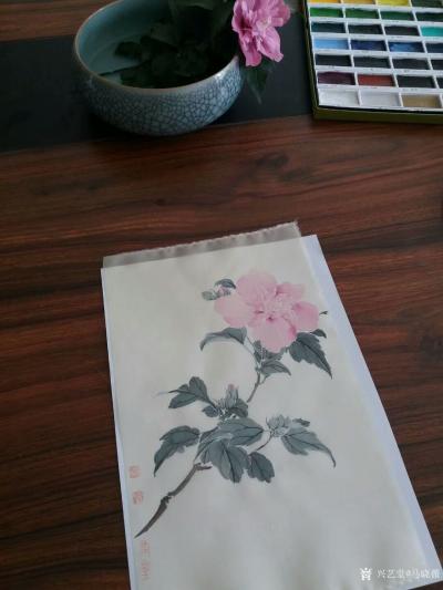 马晓薇日记-静物写生工笔花鸟画《木槿花》，素材为案头盆景。
春有百花秋有月 ，夏有凉风冬有【图3】