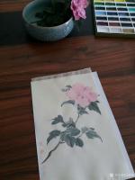 艺术家马晓薇日记:静物写生工笔花鸟画《木槿花》，素材为案头盆景。
春有百花秋【图2】