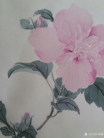 马晓薇日记-静物写生工笔花鸟画《木槿花》，素材为案头盆景。
春有百花秋有月 ，夏有凉风冬有【图4】