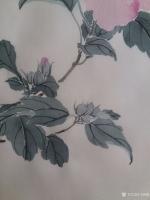 艺术家马晓薇日记:静物写生工笔花鸟画《木槿花》，素材为案头盆景。
春有百花秋【图4】