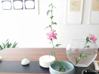 马晓薇日记-静物写生工笔花鸟画《木槿花》，素材为案头盆景。
春有百花秋有月 ，夏有凉风冬有【图6】