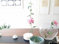 艺术家马晓薇日记:静物写生工笔花鸟画《木槿花》，素材为案头盆景。
春有百花秋【图5】