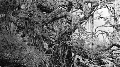 马培童日记-焦墨画中的“黑与白”-马培童焦墨画感悟笔记（113）
  焦墨画、有时，一幅好【图1】