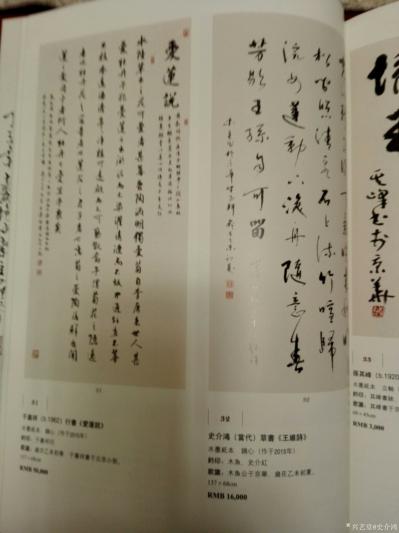 史介鸿荣誉-史介鸿，轩号坐雨，笔名木鱼。先为教师，凡九载；后任主编，越十年。
现为国家传统【图7】