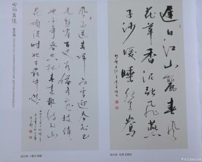 史介鸿荣誉-史介鸿，轩号坐雨，笔名木鱼。先为教师，凡九载；后任主编，越十年。
现为国家传统【图13】