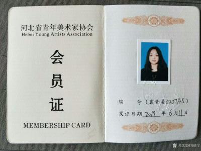 刘晓宁荣誉-河北省青年美术家协会会员证书刘晓宁【图1】