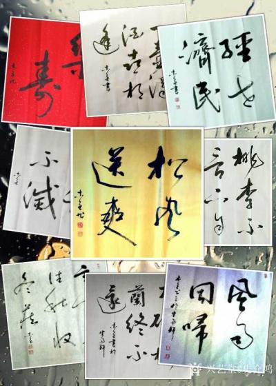 史介鸿日记-修习书法四十年心得（四言）
文/史介鸿
书属六艺，圣贤所传；
其法奥妙，流【图3】