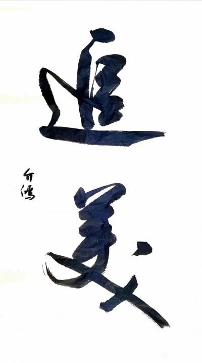 史介鸿日记-榜书：追美【图1】