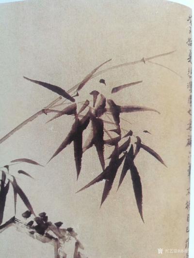 孙传海收藏-被徐悲鸿'修改'过的郑板桥《石竹图》；
  扬州八怪郑板桥，从古至今画竹子一直【图4】