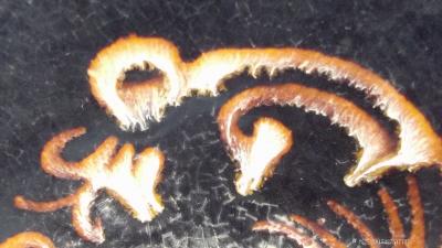 荆古轩收藏-收藏的吉州碗与紫砂壶【图4】