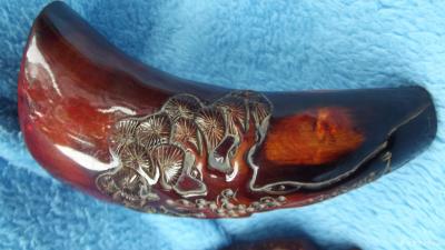 荆古轩收藏-我收藏的角质藏品。每一件藏品它都是生命载体，当今人们在珍爱动物的同时也在珍爱用心【图10】