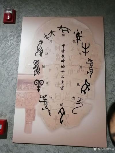 杨牧青日记-观图我见之惊讶不已，这是跨越时空的甲骨文图片设计，这也是五千年后(公元7019年【图1】