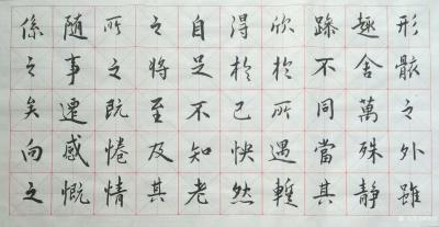 耿涛日记-行楷书法临《兰亭序》永和九年，岁在癸丑，暮春之初，会于会稽山阴之兰亭，修禊事也。【图3】