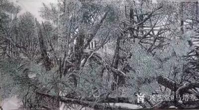 马培童收藏-观赏马培童《绿野仙踪》-丹青居士
  在乱糟糟枯木朽枝，横七竖八的枯枝败叶中稀【图4】