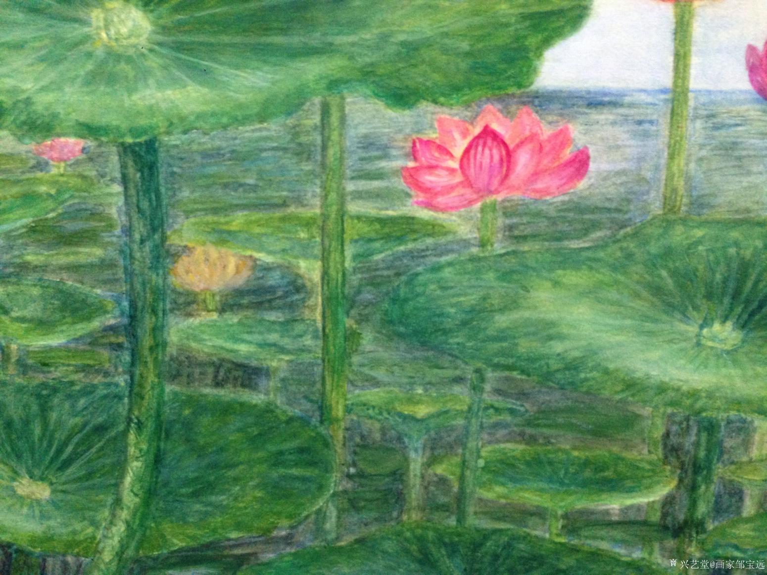 画家邹宝远油画作品《荷》【图4】