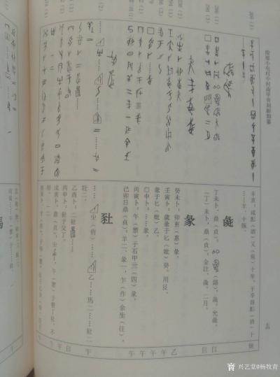 杨牧青日记-把殷商甲骨文定性为“卜辞说”是120年以来“因袭相承”的产物。现当今及以后，甲骨【图1】