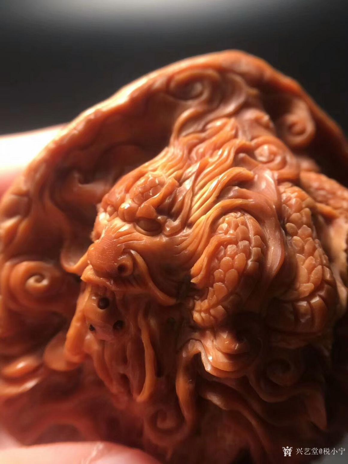 税小宁雕刻作品《核雕-双龙戏珠》【图2】