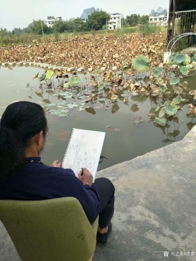 覃莽日记-荷塘写生作品，源于对美术的热爱，所以有空就画。【图1】