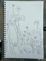 艺术家覃莽日记:荷塘写生作品，源于对美术的热爱，所以有空就画。【图1】