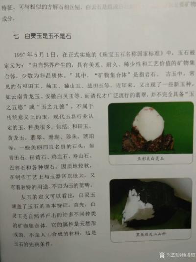 杨增超日记-今日科普一下安徽灵璧白灵玉，让大家更好的了解白灵玉，特别了解一下白灵玉山料，看看【图3】