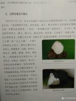 艺术家杨增超日记:今日科普一下安徽灵璧白灵玉，让大家更好的了解白灵玉，特别了解【图2】