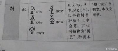 杨牧青日记-甲骨文非卜辞说：近年来新出的《甲骨文字典》有好多种。然这种字典的编印，若从甲骨文【图3】